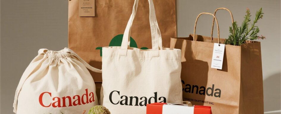 Flat lay of custom reusable shopping bags in Canada, like branded canvas tote bags, kraft paper bags, and non-woven T-shirt bags, highlighting green packaging options.